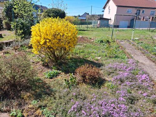 Foto - Einfamilienhaus in Losheim am See zum Kaufen