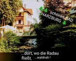 Foto - 1,5- Zi..Wohnung- Atelier + Balkon, möbliert , BAD HARZBURG