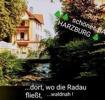 1,5- Zi..Wohnung- Atelier + Balkon, möbliert , BAD HARZBURG