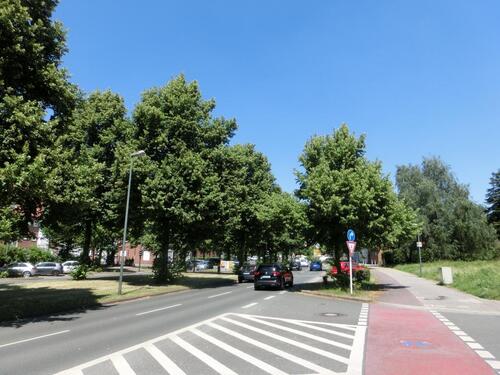 Foto - 