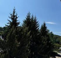 Zum Wohlfühlen: Wunderschöne 3-Zimmer-Wohnung mit Balkon ab sofort zu vermieten - An der Schmücke