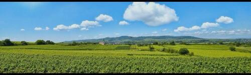 Foto - Wohnung zu vermieten in 79331 TENINGEN