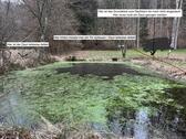 Foto - Freizeitgrundstück mit Fischteich Teichgrundstück Storrbachtal