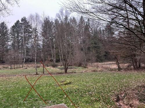 Foto - Grundst&uuml;ck in Lemberg zur Miete