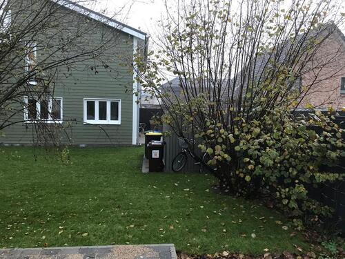 Foto - 3 Zimmer Doppelhaushälfte zur Miete in Padenstedt