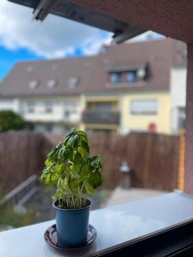 Foto - Moderner Bungalow mit Garten in Schweinheim – provisionsfrei