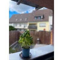 Moderner Bungalow mit Garten in Schweinheim – provisionsfrei - Aschaffenburg Österreicher Kolonie