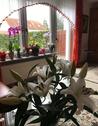 Foto - 6.5 Zimmer Reihenhaus zum Kaufen in Nürnberg