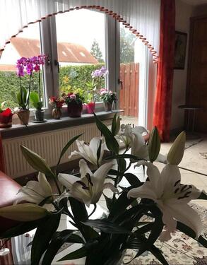 Foto - 6.5 Zimmer Reihenhaus zum Kaufen in Nürnberg