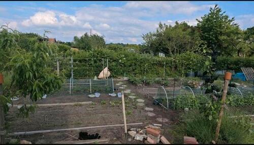 Foto - Grundstück zur Miete in Schwerin