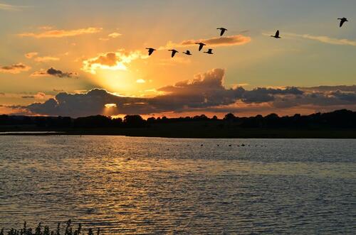 Foto - andere zur Miete in Lütjenburg