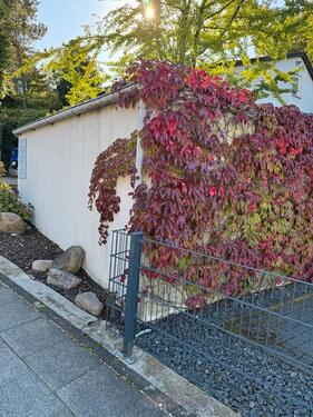 Foto - andere in Overath