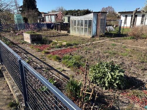 Foto - Grundst&uuml;ck in Magdeburg