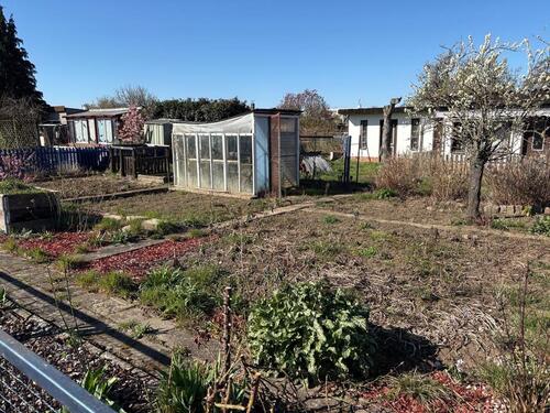 Foto - Grundst&uuml;ck in Magdeburg zur Miete