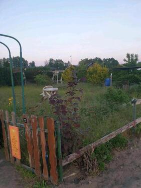 Foto - Grundst&uuml;ck in Zerbst (Anhalt) zur Miete