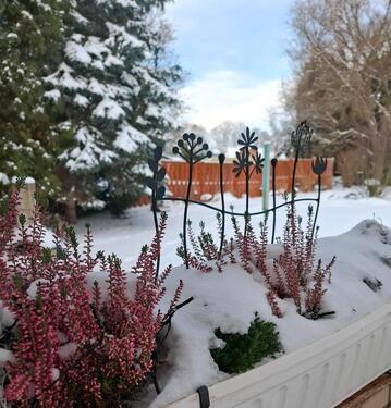 Foto - Etagenwohnung in Hameln zur Miete