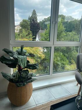 Foto - 5 Zimmer Einfamilienhaus in Bensheim