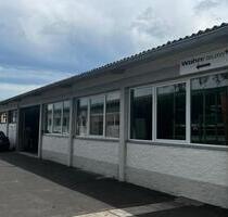 Lager- und Gewerbehalle mit Büroräumen - Bodenheim