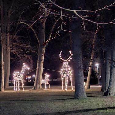 Foto - andere zur Miete in Hemmoor