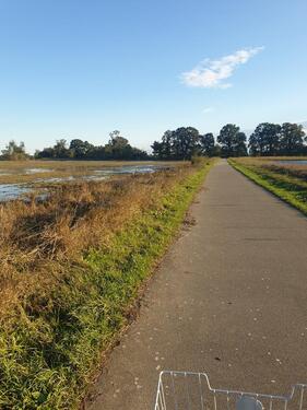 Foto - andere zur Miete in Zahna-Elster