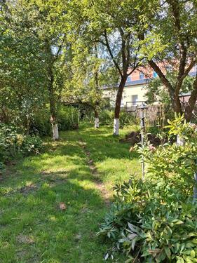 Foto - 4 Zimmer Wohnung zu vermieten 90 qm