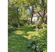 4 Zimmer Wohnung zu vermieten 90 qm - Treuen