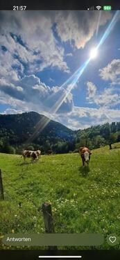 Foto - Urlaub im Allgäu nahe Bodensee - 65,00&nbsp;EUR Kaltmiete,