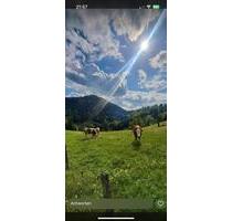 Urlaub im Allgäu nahe Bodensee - 65,00&nbsp;EUR Kaltmiete, in Scheidegg (PLZ: 88175)