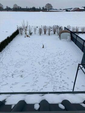 Foto - 4 Zimmer Doppelhaushälfte in Neuenkirchen