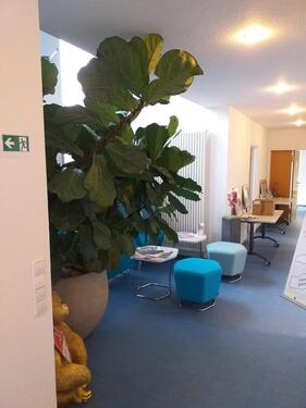 Foto - Diverse möblierte Bürozimmer mit 1-2 Arbeitsplätzen ab 01.02.2026