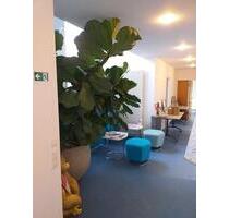 Diverse möblierte Bürozimmer mit 1-2 Arbeitsplätzen ab 01.02.2026 - Herxheim bei Landau/Pfalz