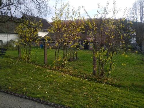 Foto - Einfamilienhaus zum Kaufen in Meiningen