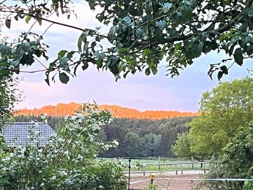 Foto - WG Zimmer Stadtnah in ländlicher Umgebung