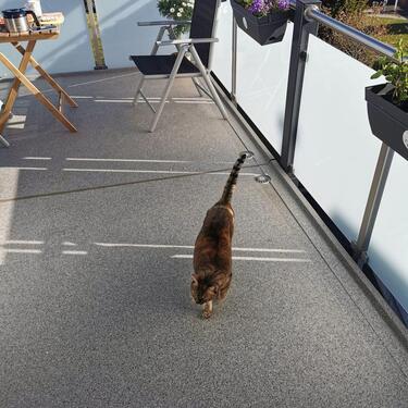 Foto - Etagenwohnung in Hattingen zur Miete