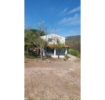 Authentisches sardisches Bauernhaus bei Alghero - Fuchstal