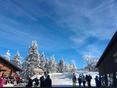 Foto - Verkauf Ferienwohnung im Harz-voll möbliert-Hallenbad und Sauna