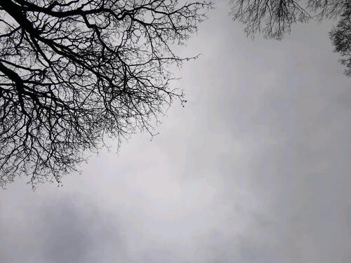 Foto - andere in Ahrensburg