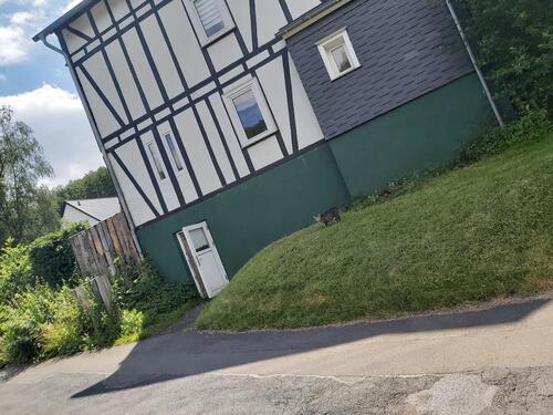 Foto - 9 Zimmer Mehrfamilienhaus, Wohnhaus zum Kaufen in Freudenberg