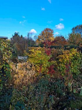 Foto - Kleingarten - 1.500,00&nbsp;EUR Kaltmiete, ca.&nbsp; 0,00&nbsp;m&sup2;