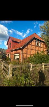 Foto - Essel ein ganzes Haus zum Vermieten Kaltmiete 1150 Euro