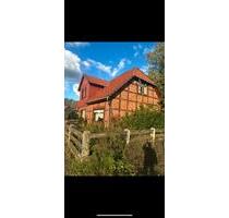 Essel ein ganzes Haus zum Vermieten Kaltmiete 1150 Euro - Schwarmstedt