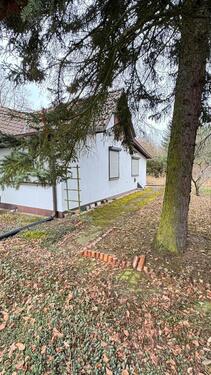 Foto - Einfamilienhaus zum Kaufen in Schöneiche bei Berlin