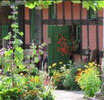 Idylle pur: Historischer Resthof im Herzen unberührter Natur - Stemwede