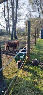 Foto - andere zur Miete in Ganderkesee