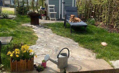 Foto - 4 Zimmer Terrassenwohnung in Seeon-Seebruck