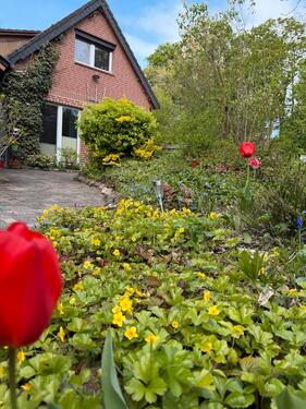 Foto - Kleines AppartementStudio am Stadtrand vom Widukindland