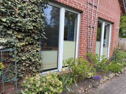 Foto - 1 Zimmer Erdgeschoßwohnung zur Miete in Osnabrück