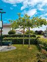 Foto - provisionsfrei Gartenwohnung mit Hobbyraum