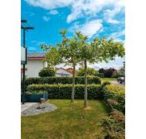 provisionsfrei Gartenwohnung mit Hobbyraum - Tüßling