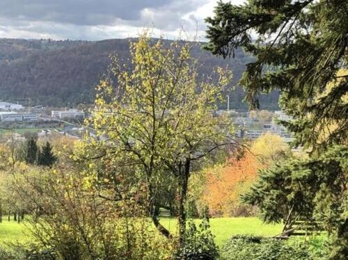 Foto - Gehobenes Wohnen mit toller Aussicht im Ortsteil Neckarhalde